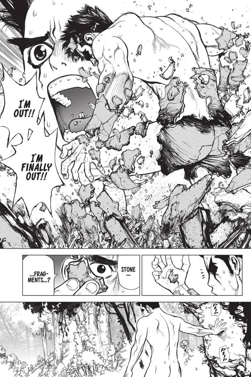 Chapter 1 image 33