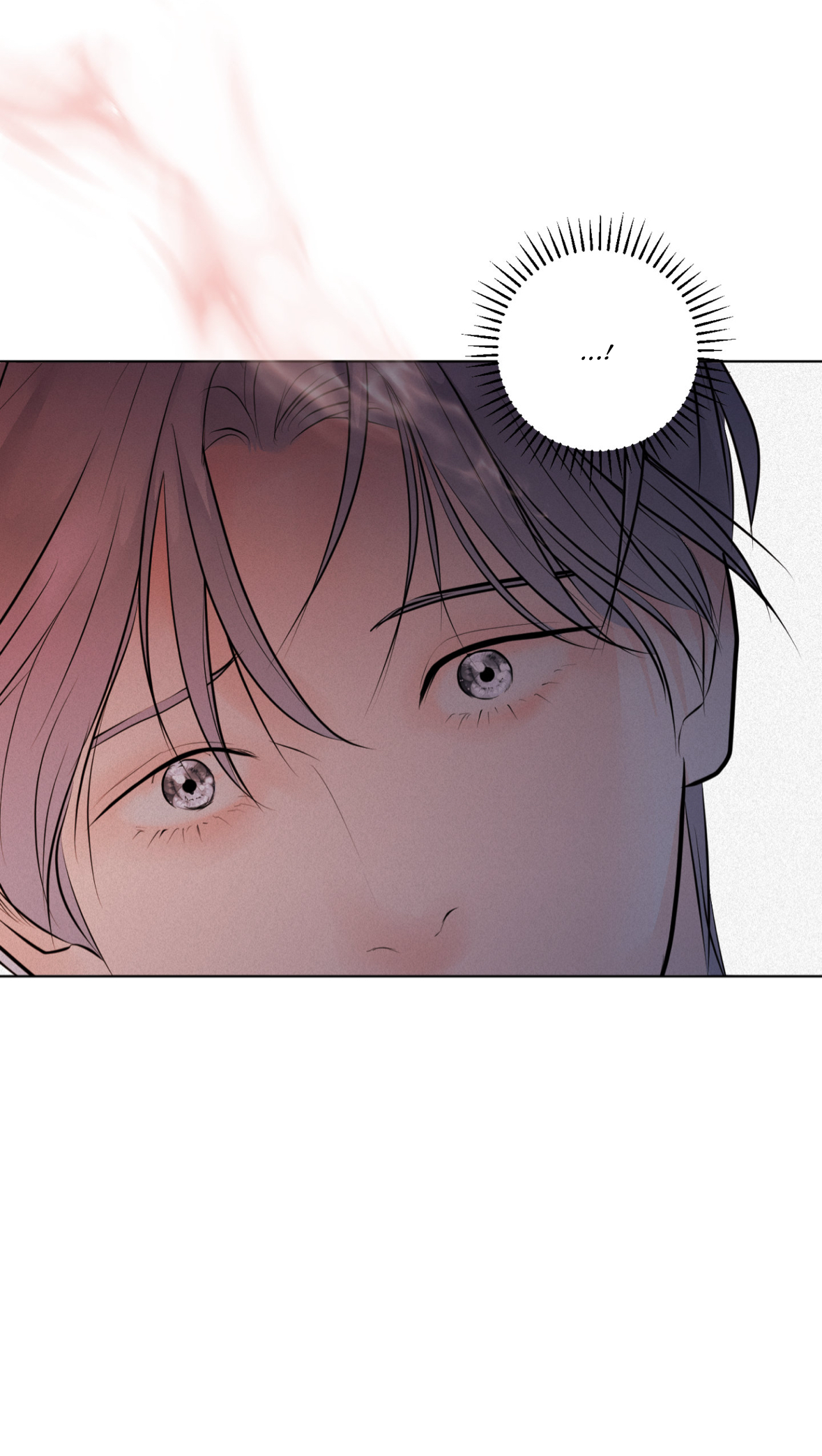 51195821 1179 2088 1996690